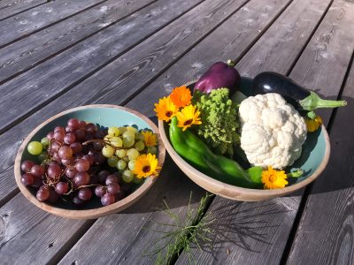 Biotreff-Grieskirchen-Obst&Gemüse